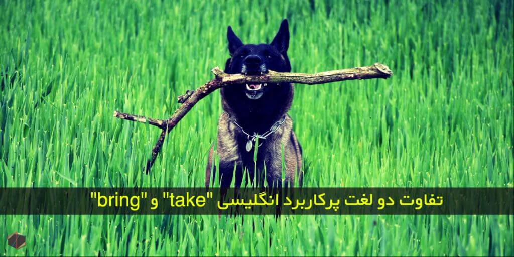لغت پرکاربرد انگلیسی